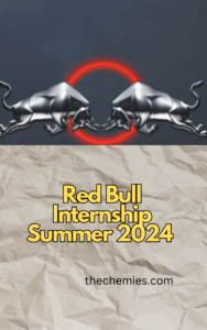 Red Bull Internship Summer 2024